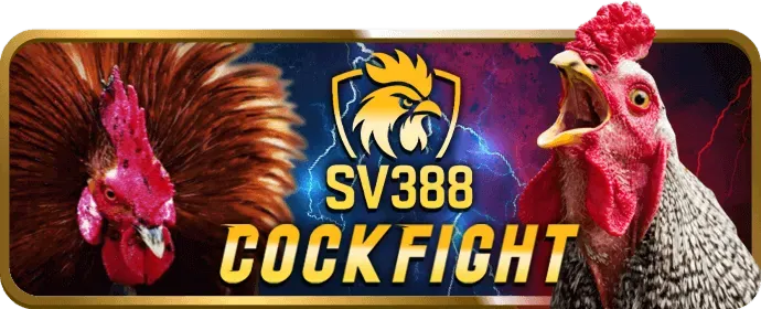 Máy đánh bạc sic88